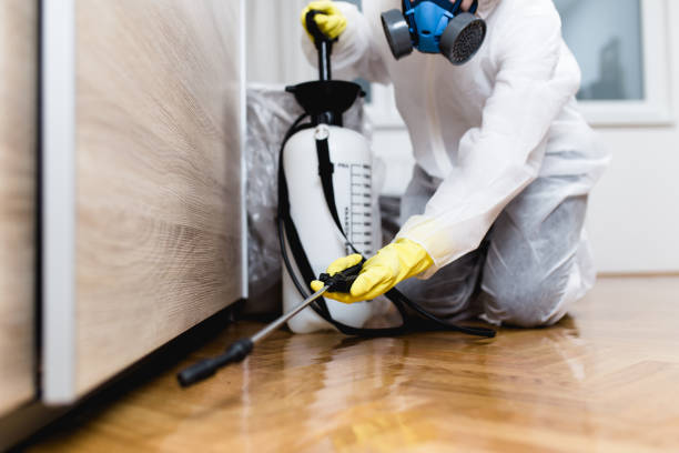 Best Affordable Pest Control Services  in Steiner Ranch, TX