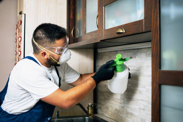 Insect Control in Steiner Ranch, TX