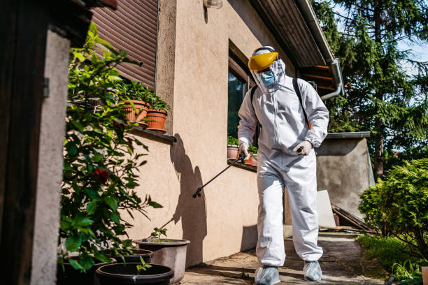 Reliable Steiner Ranch, TX Pest Control Solutions