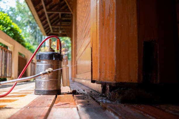 Best Mosquito Control Services  in Steiner Ranch, TX